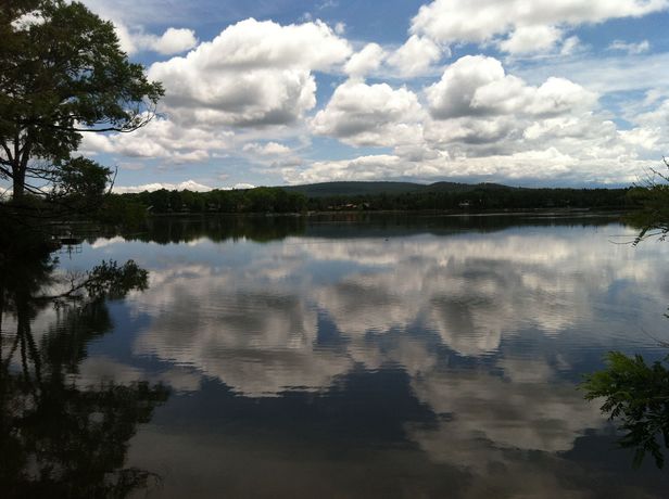 Imagen de los interiores del Hotel Lazy Oaks Resort. Foto 10