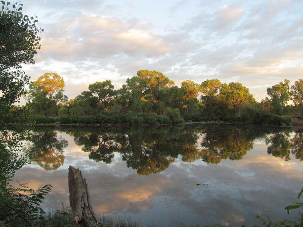 Imagen de los interiores del Hotel Lazy Oaks Resort. Foto 11