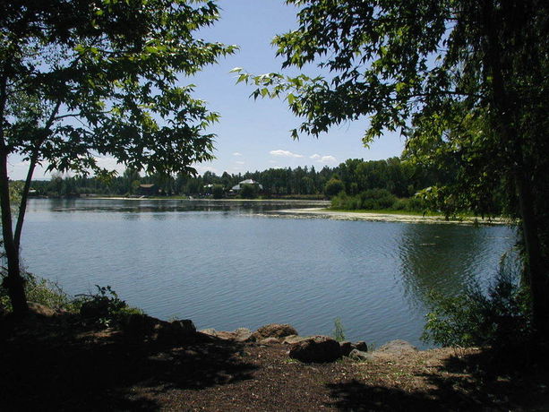 Imagen de los exteriores del Hotel Lazy Oaks Resort. Foto 6