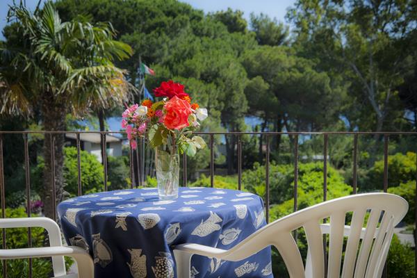 Imagen general del Hotel Le Acacie. Foto 3