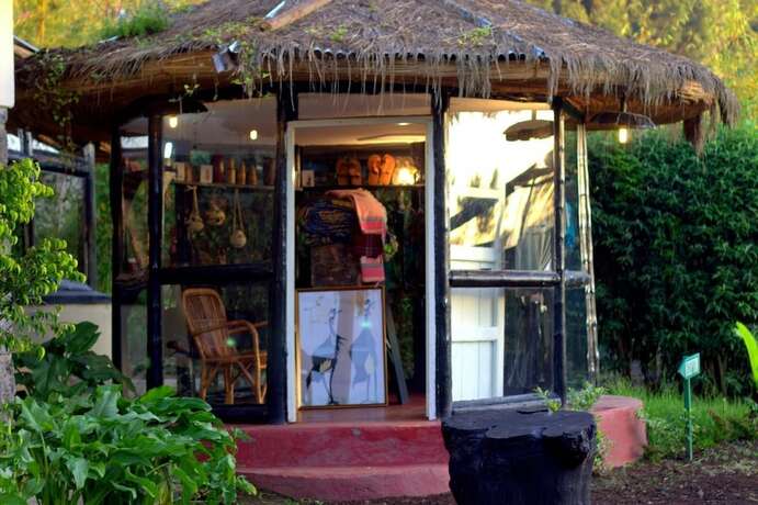 Imagen general del Hotel Le Bambou Gorilla Lodge, Kinigi. Foto 5