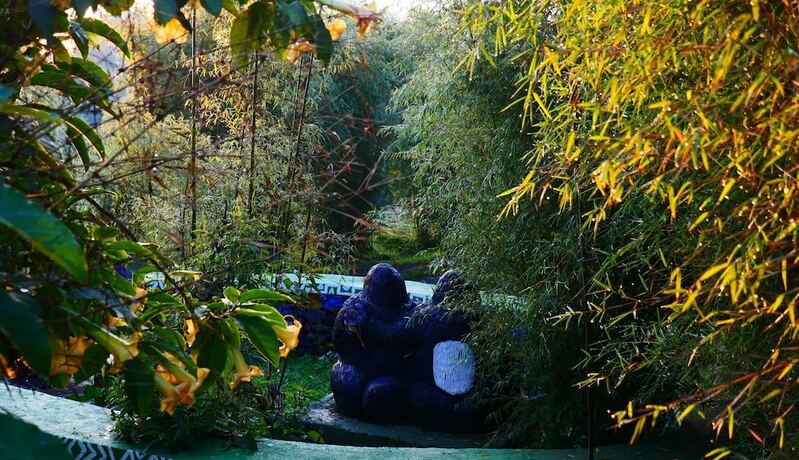Imagen general del Hotel Le Bambou Gorilla Lodge, Kinigi. Foto 9