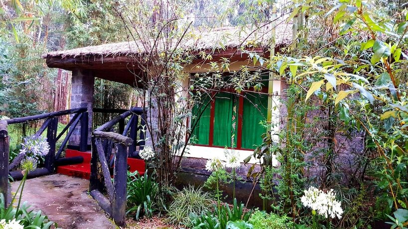 Imagen general del Hotel Le Bambou Gorilla Lodge, Kinigi. Foto 11
