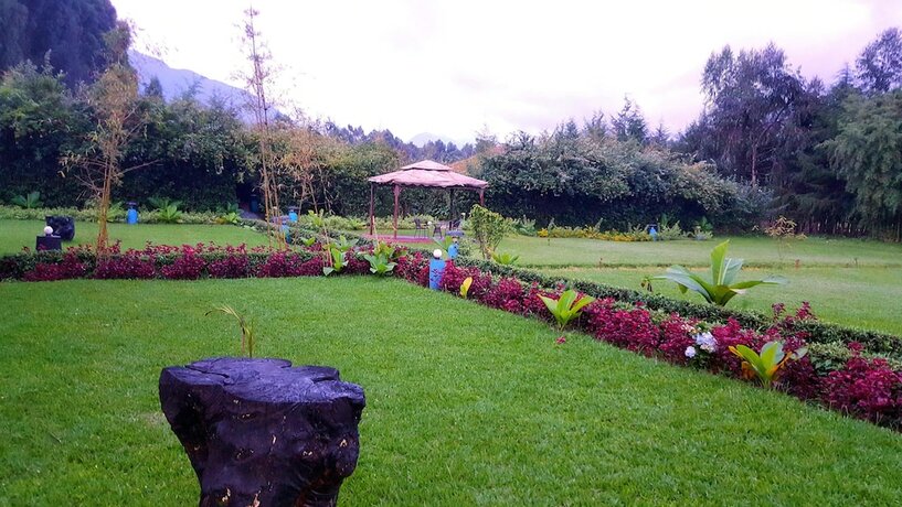 Imagen general del Hotel Le Bambou Gorilla Lodge, Kinigi. Foto 14
