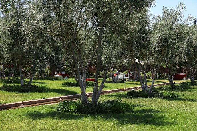 Imagen general del Hotel Le Bled Ferme. Foto 14