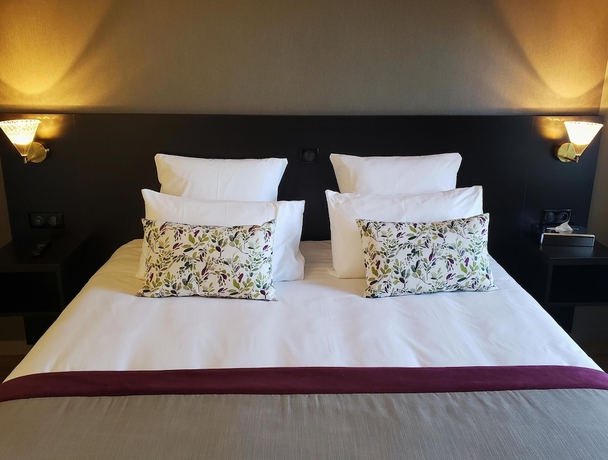 Imagen de la habitación del Hotel Le Brame de Sologne. Foto 11