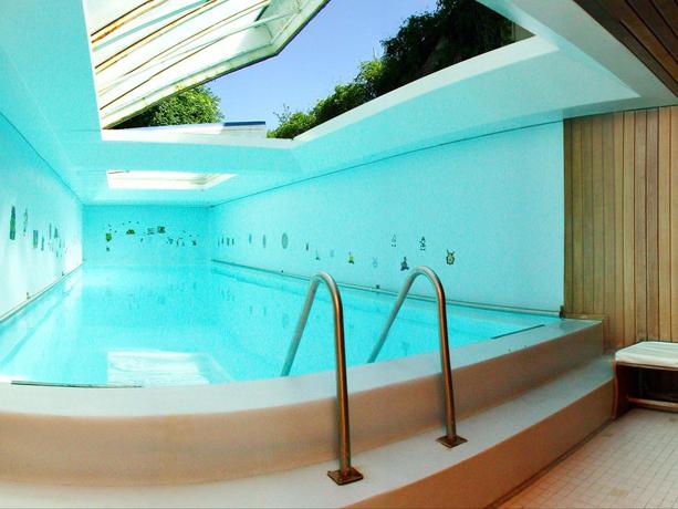 Imagen de la piscina del Hotel Le Carina. Foto 8