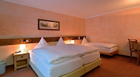 Imagen general del Hotel Le Chamois Swiss Quality Hotel. Foto 1