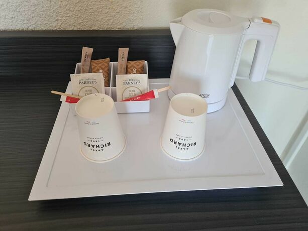 Imagen de la habitación del Hotel Le Cheval Blanc, Arles. Foto 13