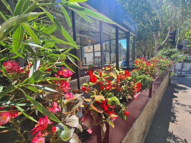 Imagen general del Hotel Le Cheval Blanc, Arles. Foto 8