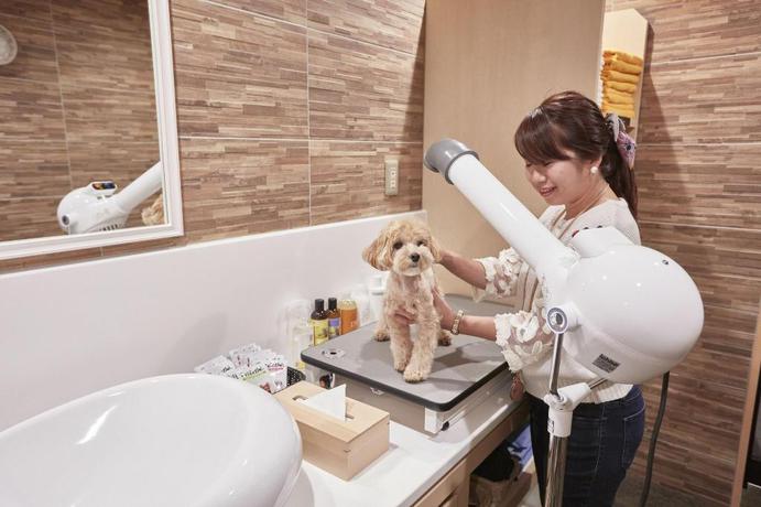 Imagen general del Hotel Le Chien Kyu-Karuizawa. Foto 3