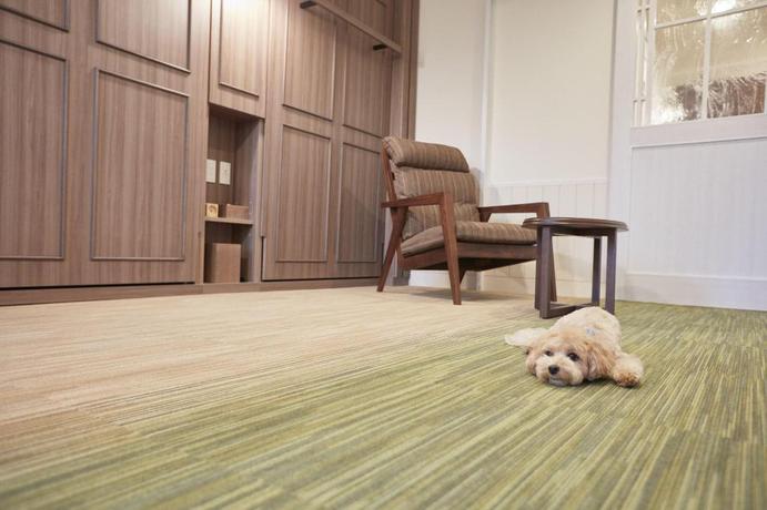 Imagen de la habitación del Hotel Le Chien Kyu-Karuizawa. Foto 10
