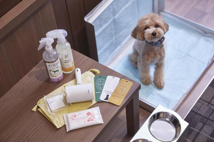 Imagen de la habitación del Hotel Le Chien Kyu-Karuizawa. Foto 14