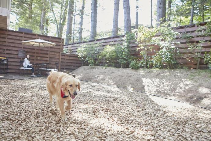 Imagen de la habitación del Hotel Le Chien Kyu-Karuizawa. Foto 15