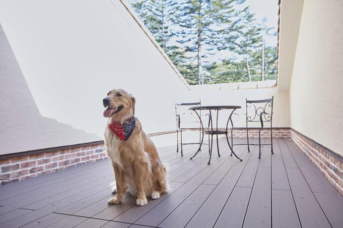 Imagen de la habitación del Hotel Le Chien Kyu-Karuizawa. Foto 17