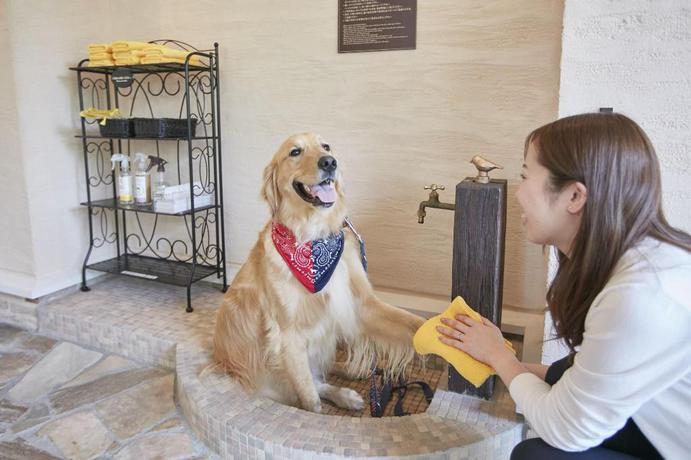 Imagen de la habitación del Hotel Le Chien Kyu-Karuizawa. Foto 18