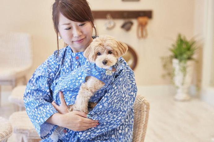 Imagen de la habitación del Hotel Le Chien Kyu-Karuizawa. Foto 20