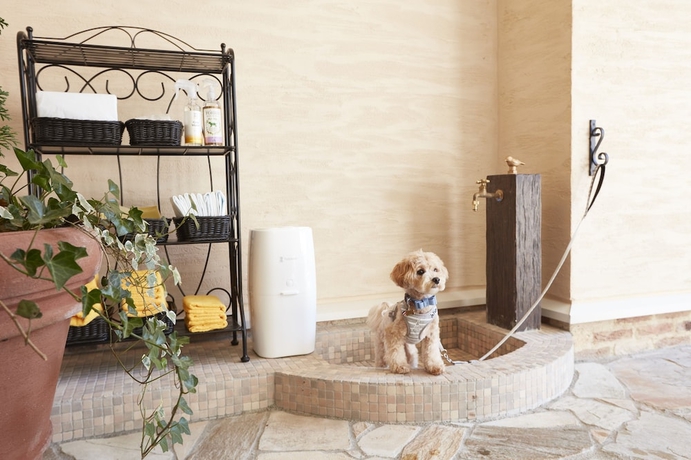 Imagen de la habitación del Hotel Le Chien Kyuu Karuizawa. Foto 14