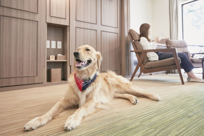 Imagen general del Hotel Le Chien Kyuu Karuizawa. Foto 4