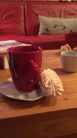 Imagen general del Hotel Le Chopicalqui. Foto 4