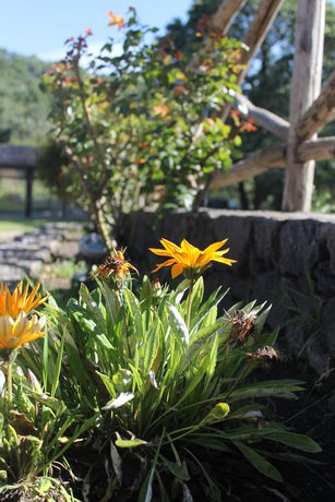 Imagen de los exteriores del Hotel Le Cisterne. Foto 8