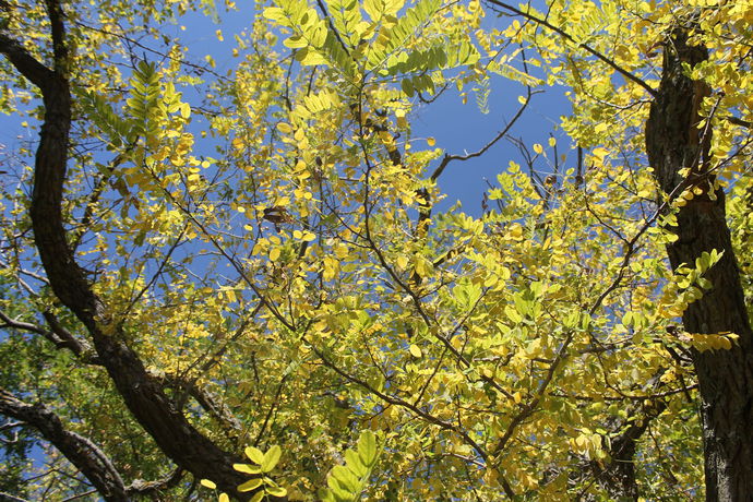 Imagen de los exteriores del Hotel Le Cisterne. Foto 9