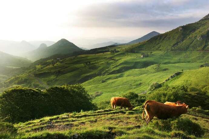 Imagen general del Hotel Le Clair Logis. Foto 8