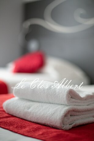 Imagen general del Hotel Le Clos Albert. Foto 1