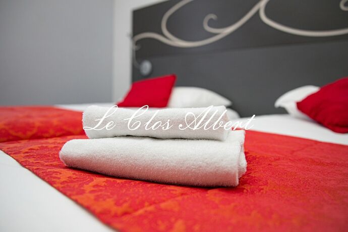 Imagen general del Hotel Le Clos Albert. Foto 3