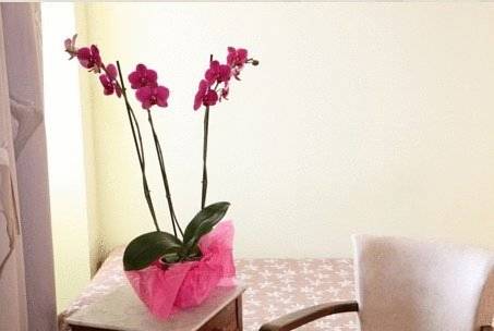 Imagen de la habitación del Hotel Le Clos Des Oliviers. Foto 9