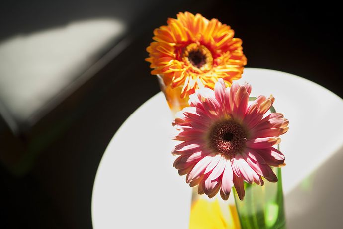 Imagen de la habitación del Hotel Le Colombier, Obernai. Foto 14