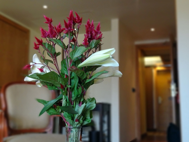 Imagen de la habitación del Hotel Le Commodore. Foto 2