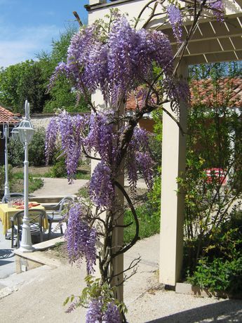 Imagen del bar/restaurante del Hotel Le Continental. Foto 3