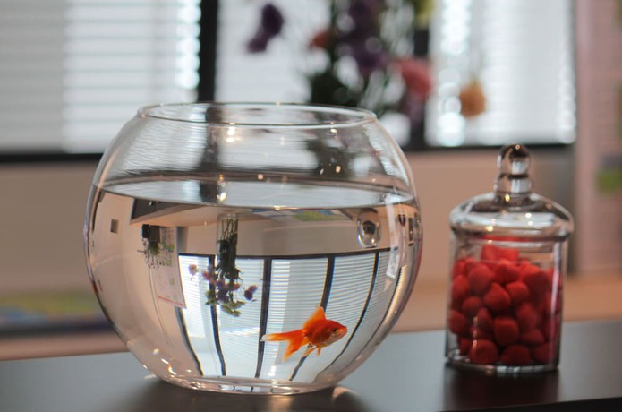 Imagen de los interiores del Hotel Le Cornouaille Hotel and Spa. Foto 19