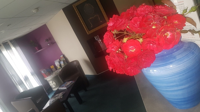 Imagen de los interiores del Hotel Le Cosy Blois Nord. Foto 16