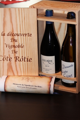 Imagen general del Hotel Le Domaine Des Vignes. Foto 2