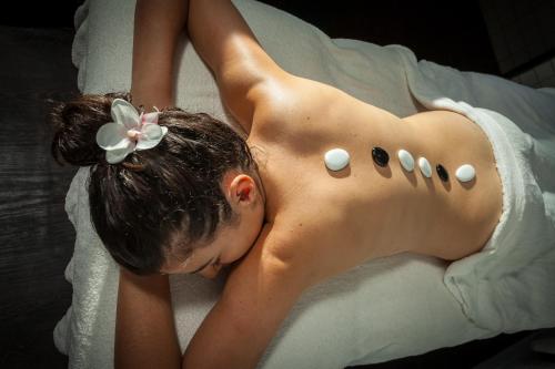 Imagen general del Hotel Le Domaine de Falgos Golf & Spa. Foto 5