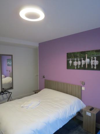 Imagen de la habitación del Hotel Le Faisan. Foto 13