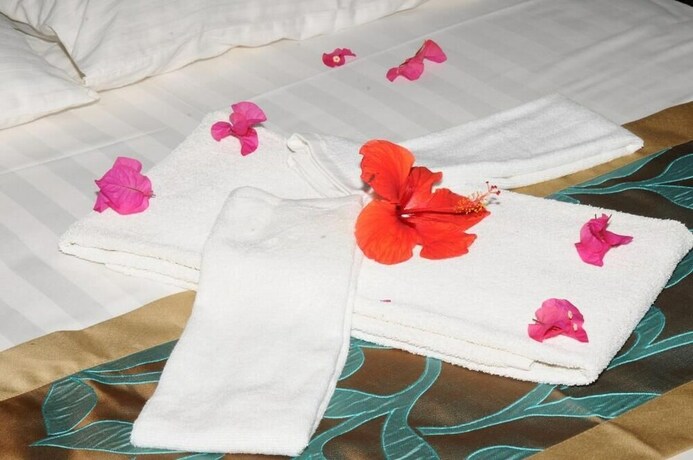 Imagen de la habitación del Hotel Le Flamboyant. Foto 8