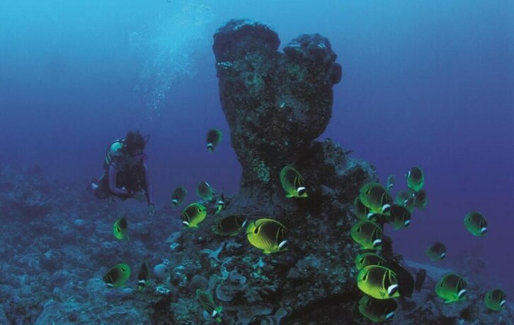 Imagen de los interiores del Hotel Le Flamboyant. Foto 18