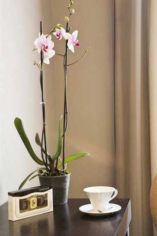 Imagen de la habitación del Hotel Le Frochot Hotel Pigalle, Sonder by Marriott Bonvoy. Foto 16