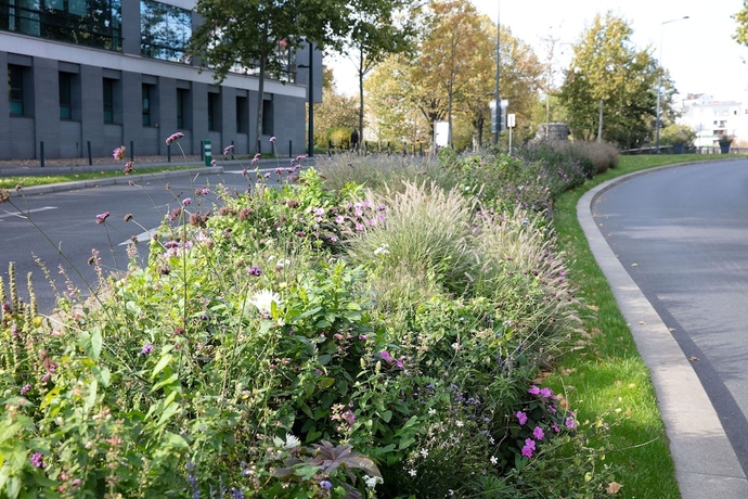 Imagen general del Hotel Le Grand Albert 1er. Foto 3