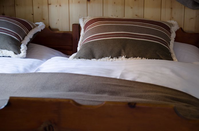 Imagen de la habitación del Hotel Le Grand Chalet Favre. Foto 10