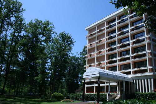 Imagen general del Hotel Le Grand Monarque, MELUN. Foto 2