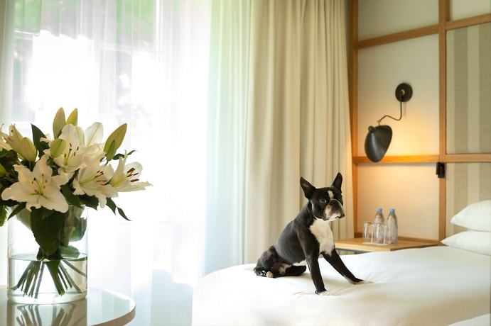 Imagen de la habitación del Hotel Le Grand Pavillon Chantilly. Foto 13