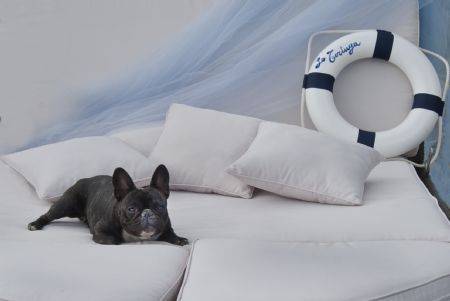 Imagen de la habitación del Hotel Le Grazie, Portovenere. Foto 4