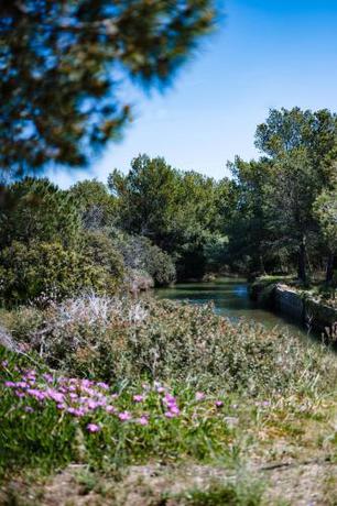 Imagen general del Hotel Le Hameau Des Pesquiers Ecolodge, Curio Collection By Hilton. Foto 12