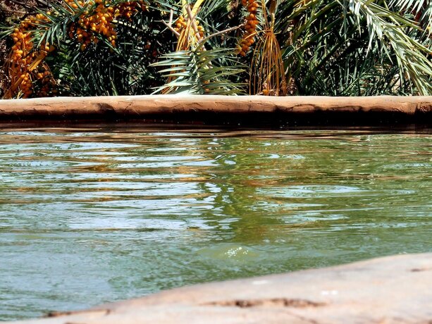 Imagen general del Hotel Le Jardin Sous la Lune. Foto 5