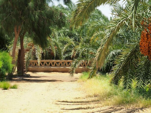 Imagen general del Hotel Le Jardin Sous la Lune. Foto 8