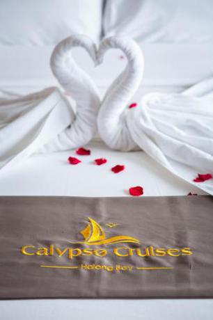 Imagen general del Hotel Le Journey Calypso Lan Ha Bay Cruise. Foto 3